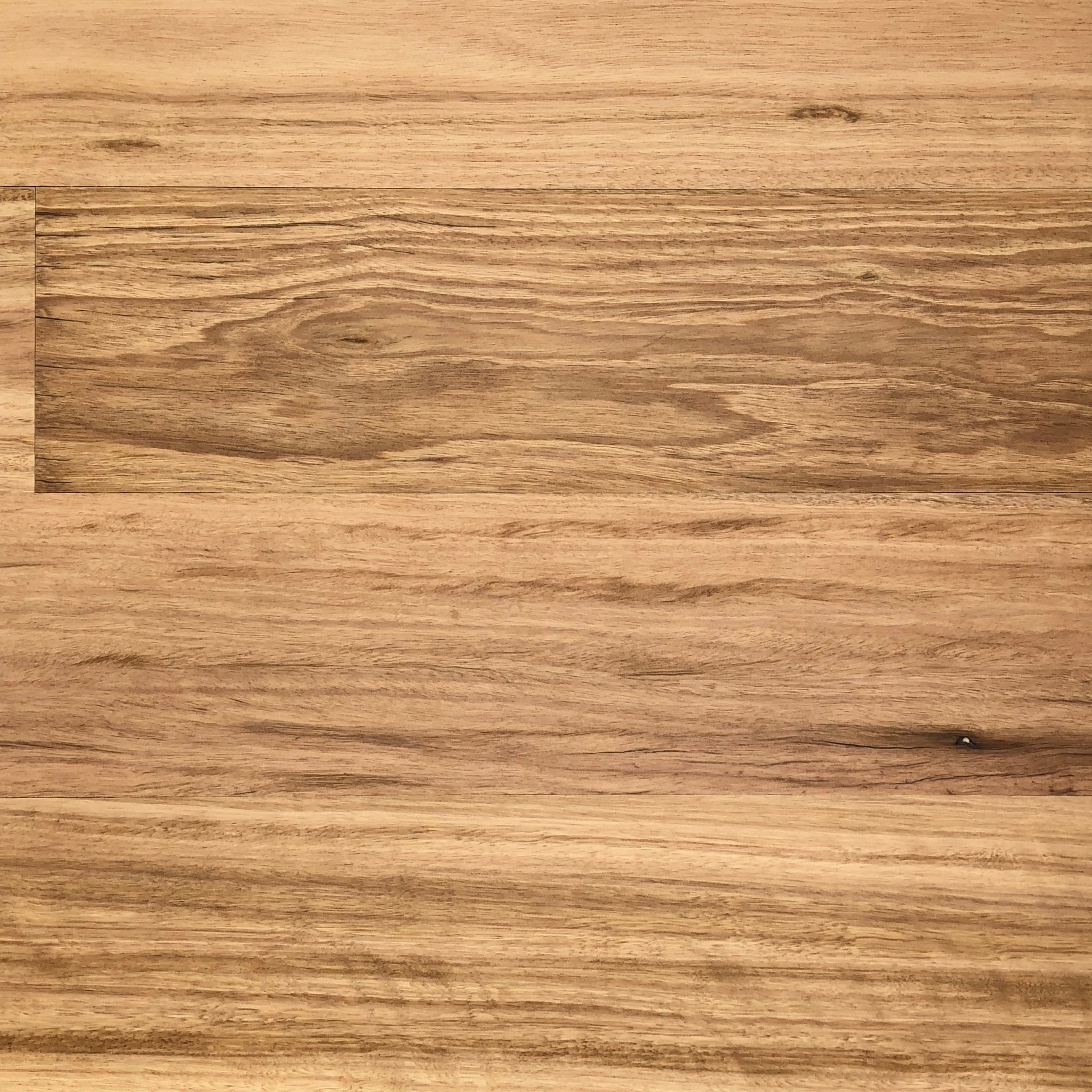 Australian Native Silvertop