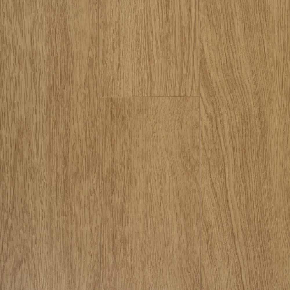 FC BISCOTTI Waterproof Laminate