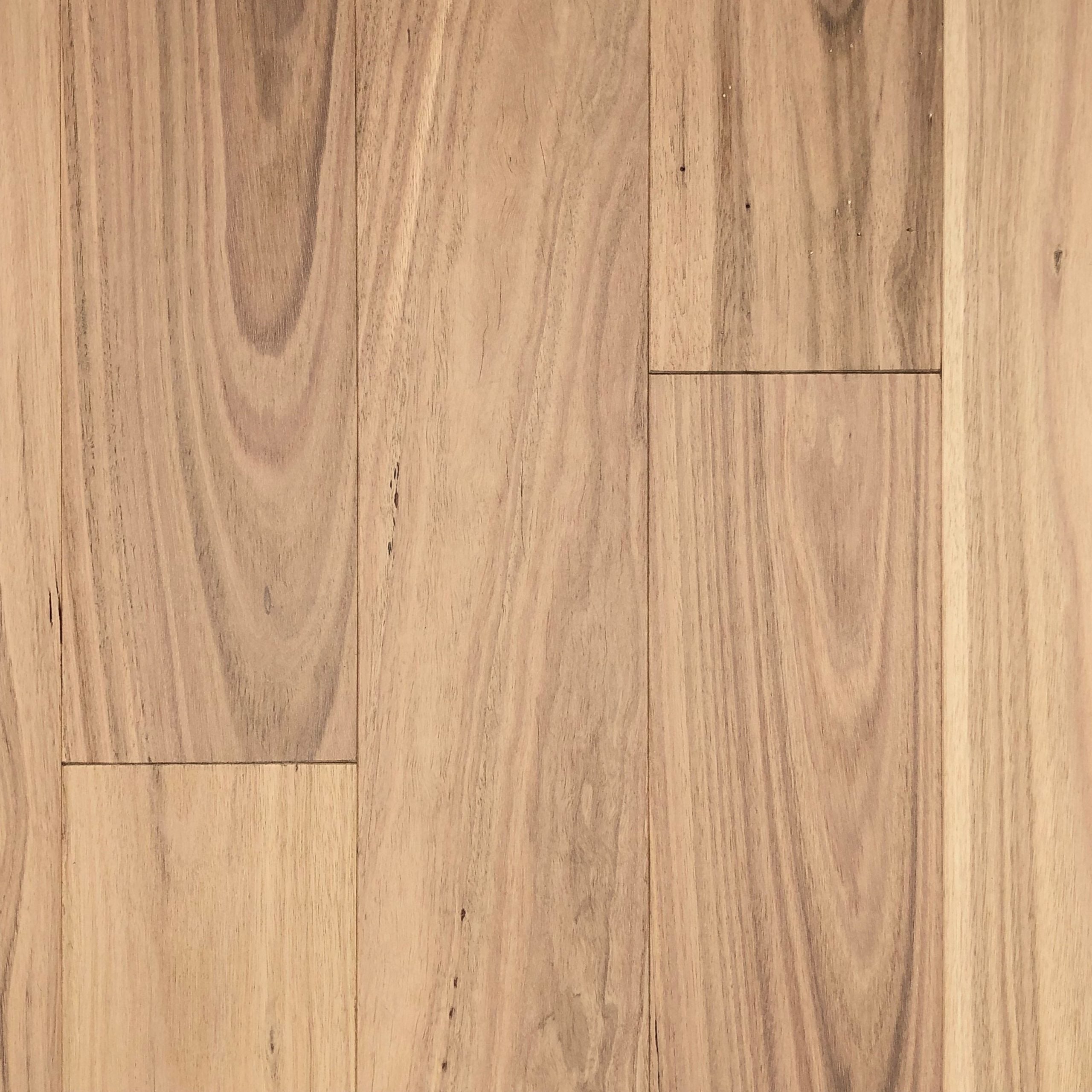 First Floors Blackbutt - Invisible UV Lacquer