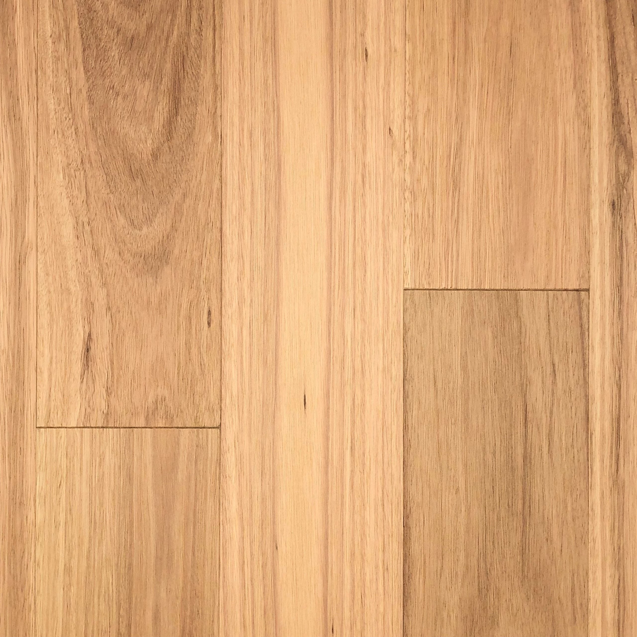First Floors Blackbutt - UV Hardwax Oil