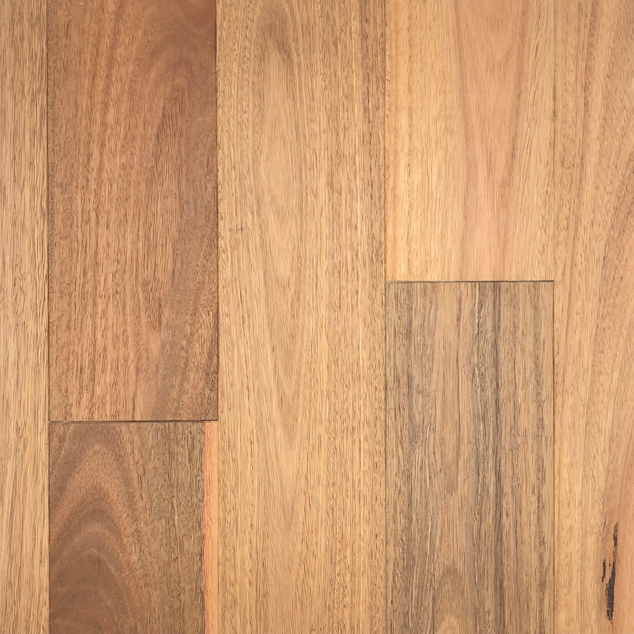 First Floors Spotted Gum - UV Lacquer