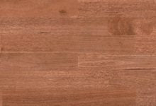 HM WALK Sydney Blue Gum