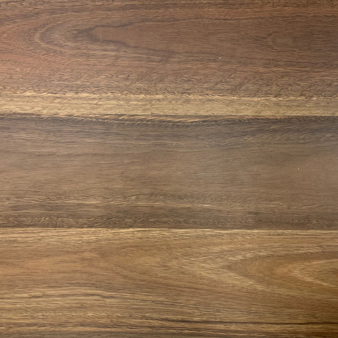 Australian Native QLD Spotted Gum