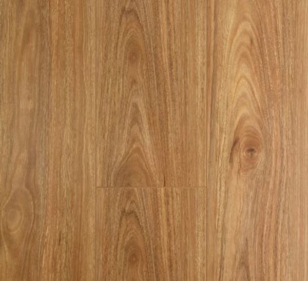 FC OL SPOTTED GUM Laminate
