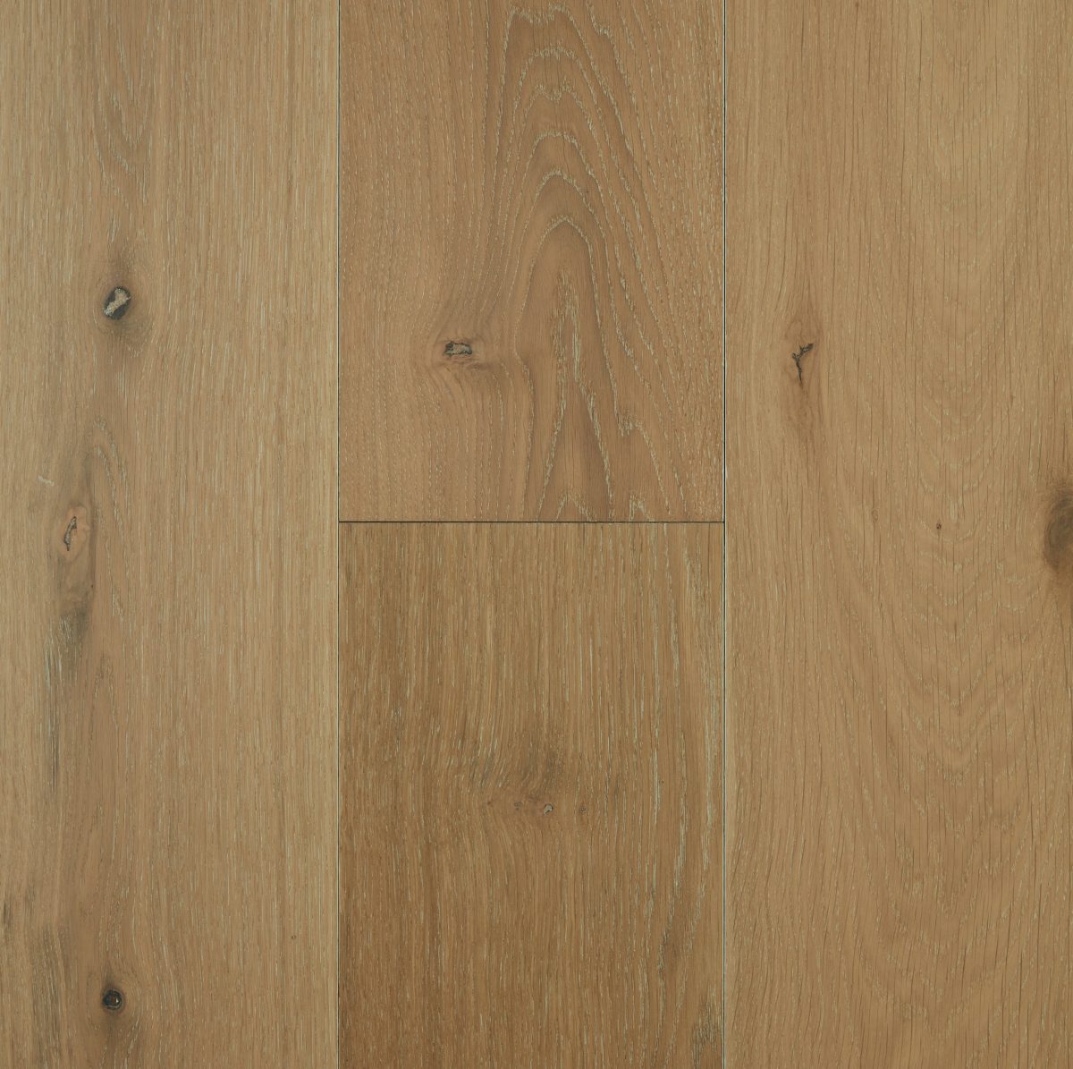 PRESTIGE OAK Bondi Beach