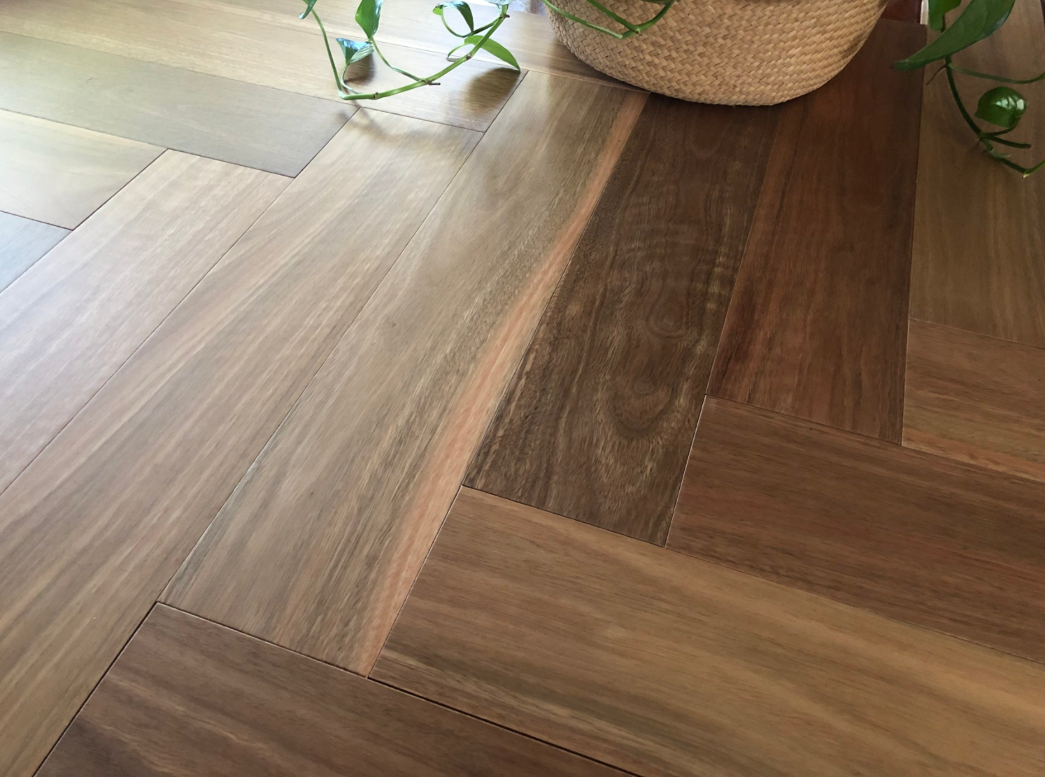 Austalian Native Herringbone - Spotted Gum
