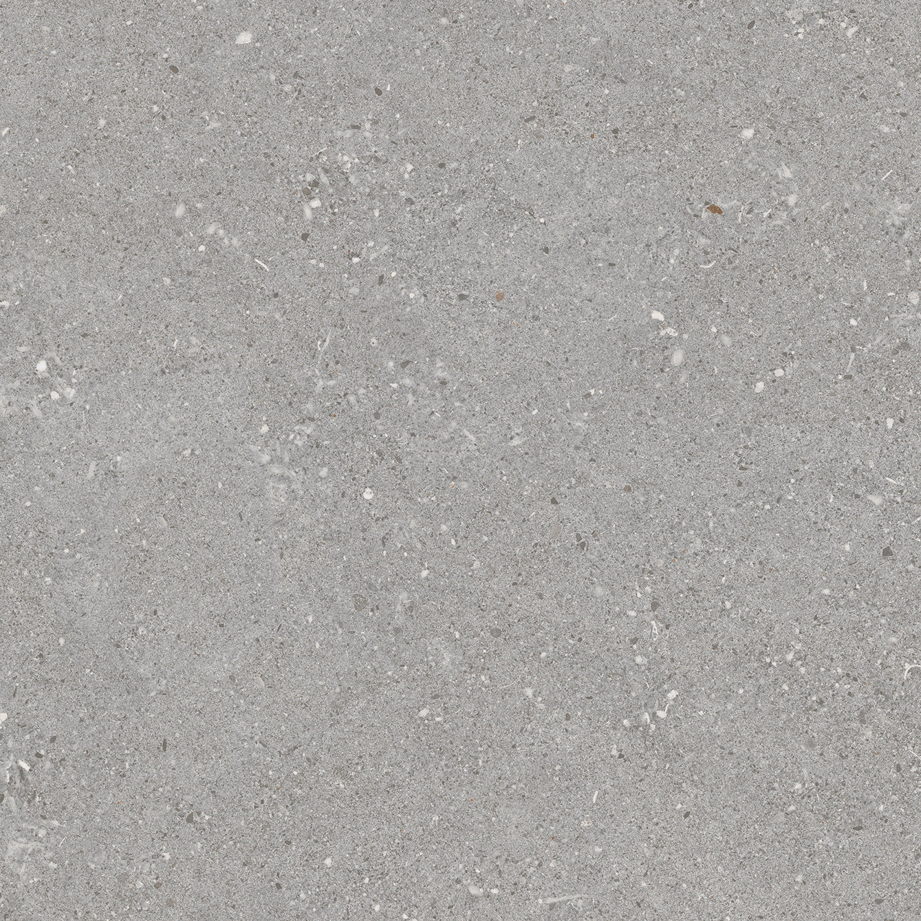 TERRAZZO TSG13